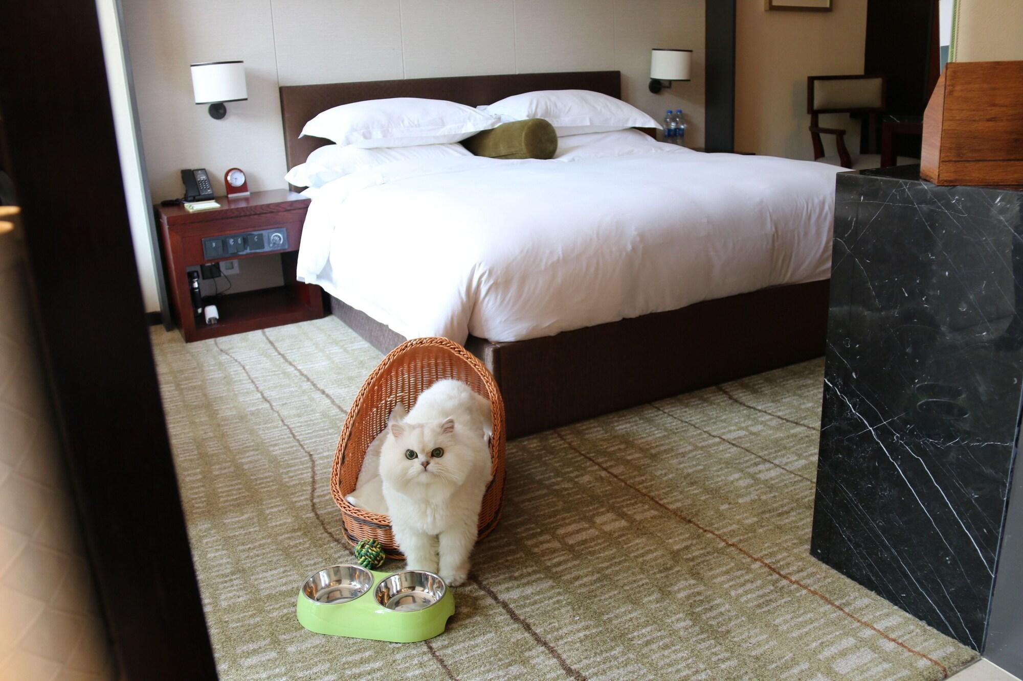 Millennium Resort Hangzhou Luaran gambar